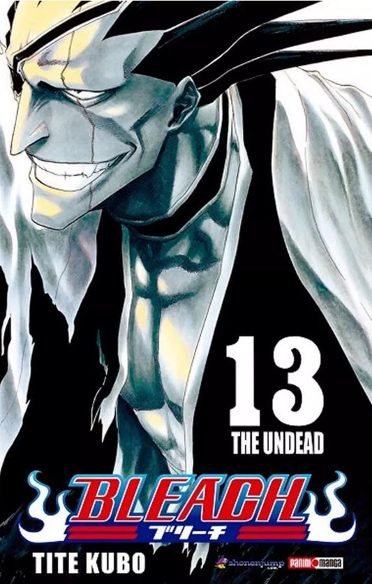 Bleach Tomo 13 - Tite Kubo