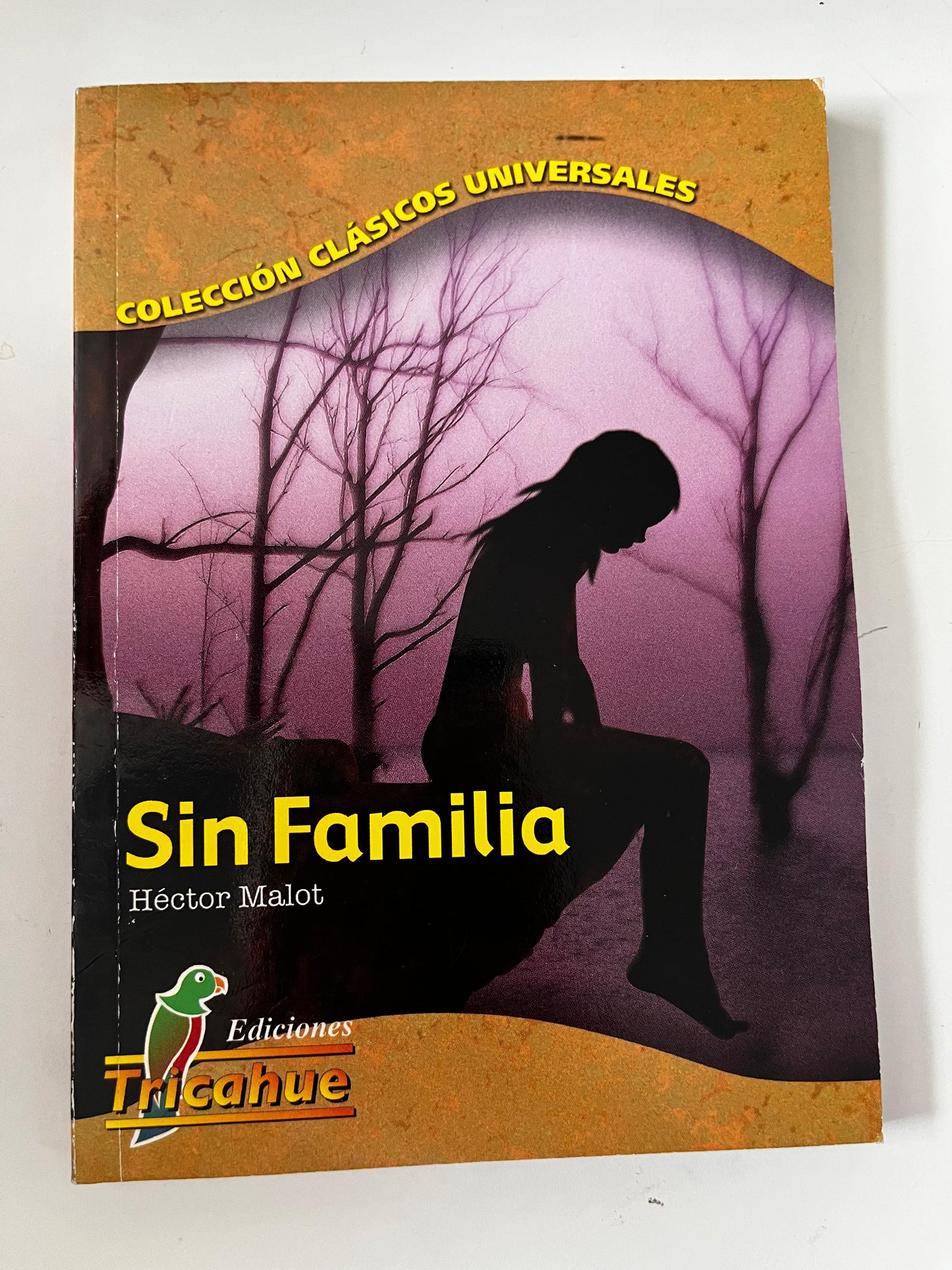 Sin familia - Héctor Malot