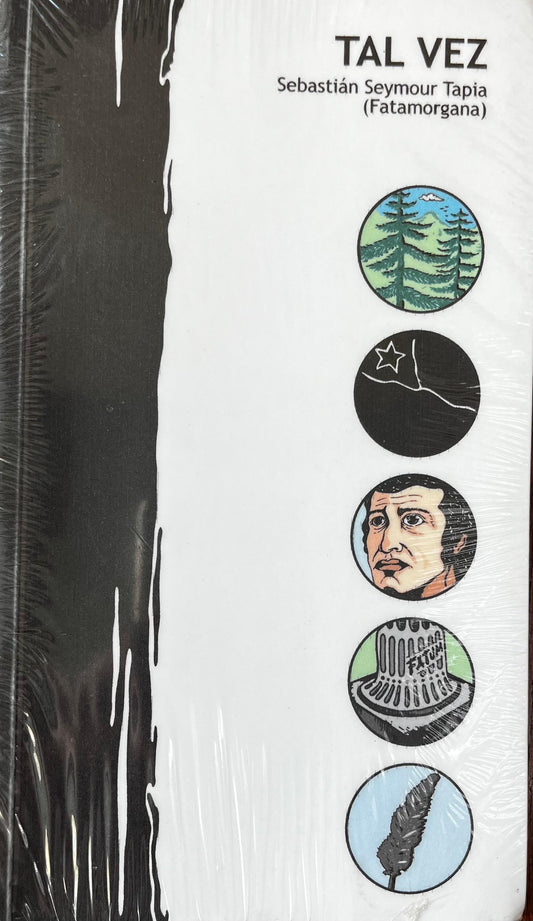 Tal vez - Sebastián Seymour Tapia