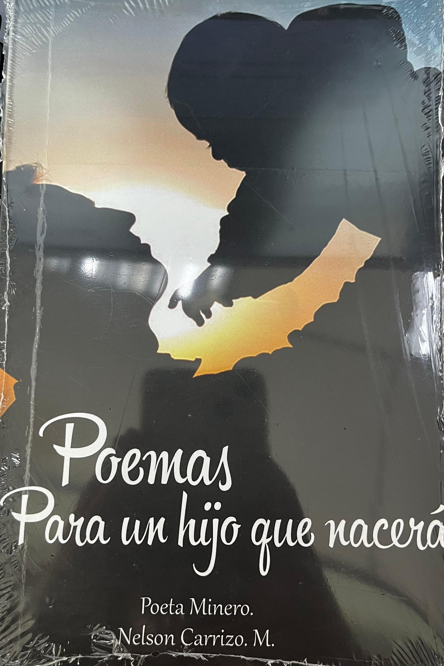 Poemas para un hijo que nacerá - Nelson Carrizo