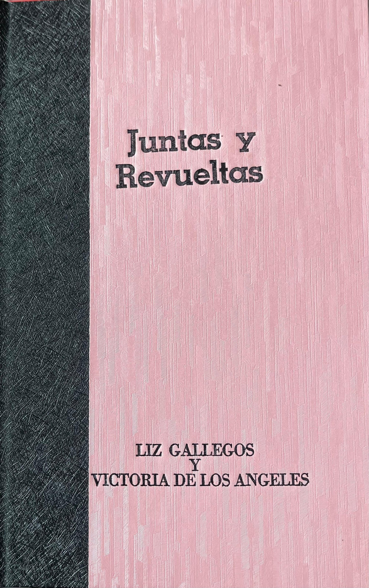 Juntas y revueltas - Liz Gallegos