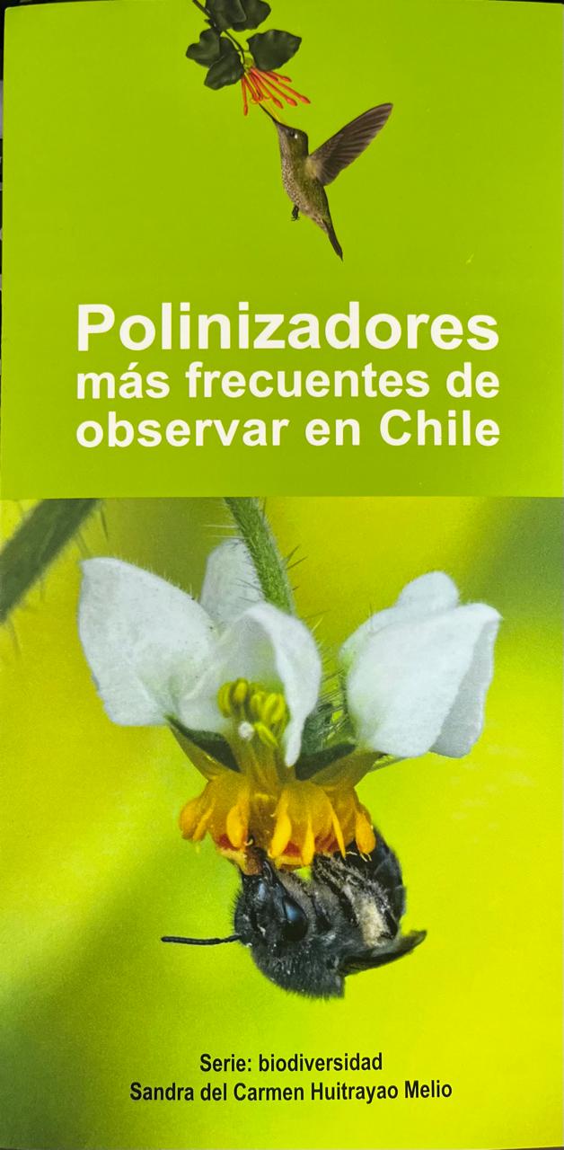 Polinizadores más frecuentes de observar en Chile