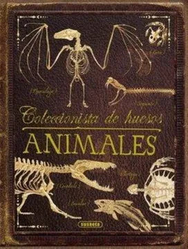 Colecciones huesos animales