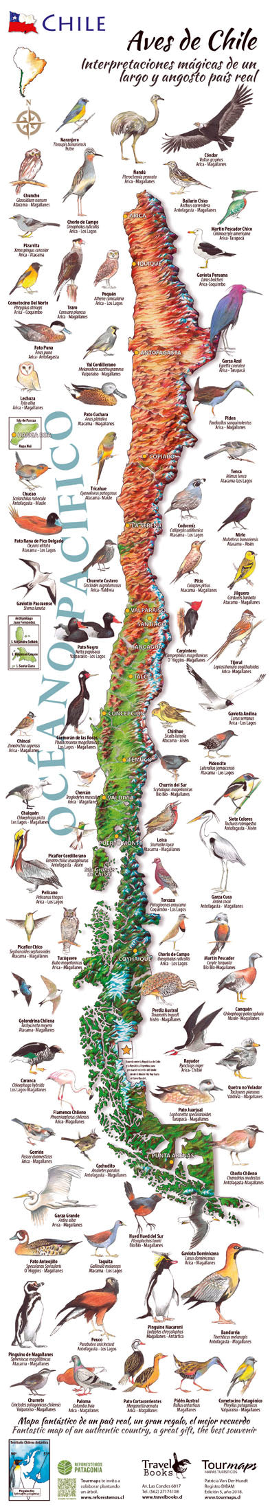 Aves de Chile mapa desplegable