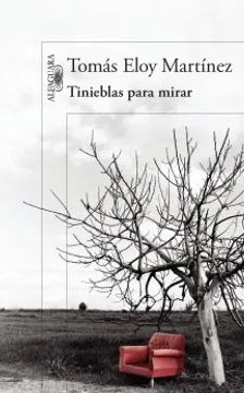 Tinieblas para mirar - Tomás Eloy Martínez