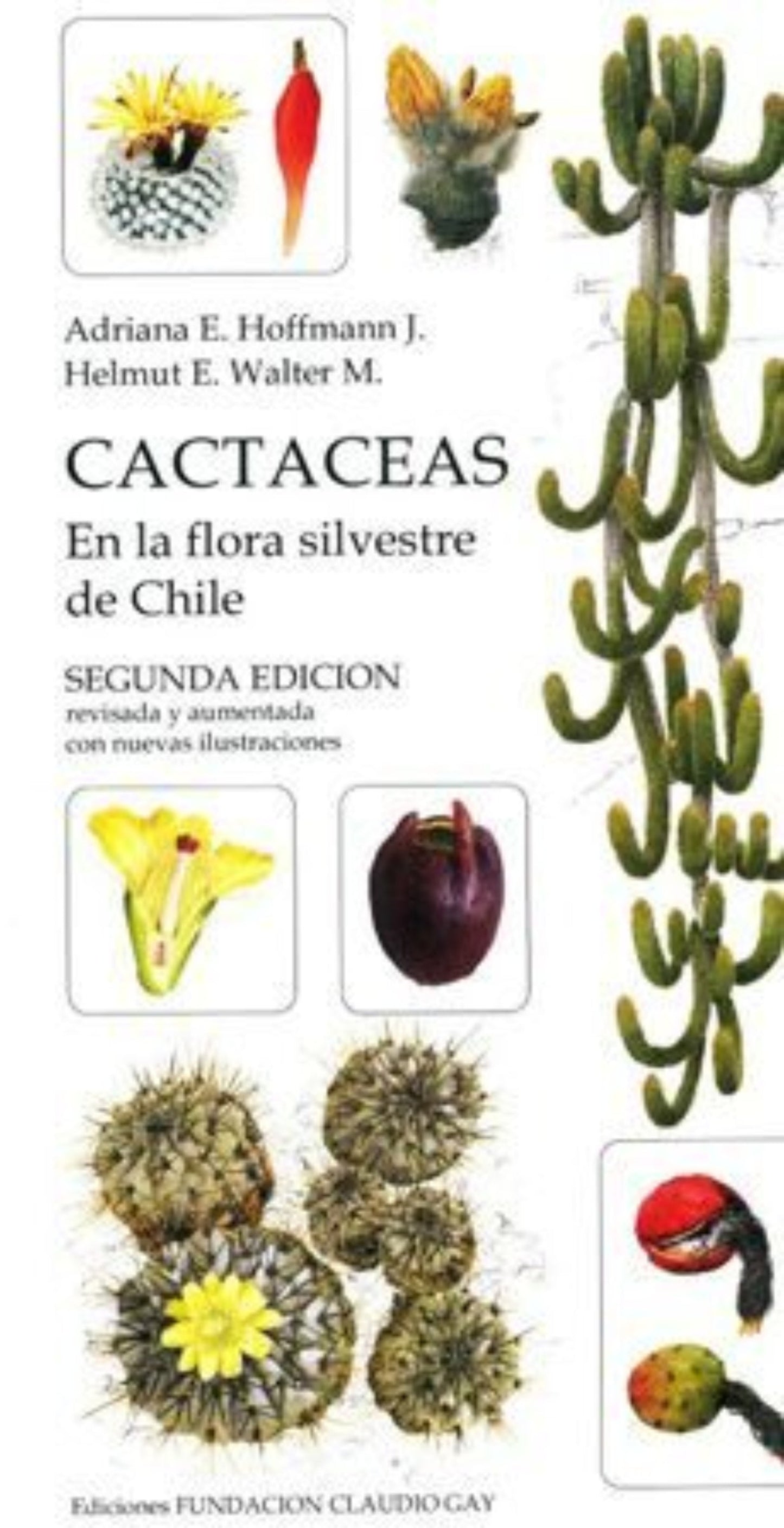 Cactáceas en la Flora Silvestre de Chile