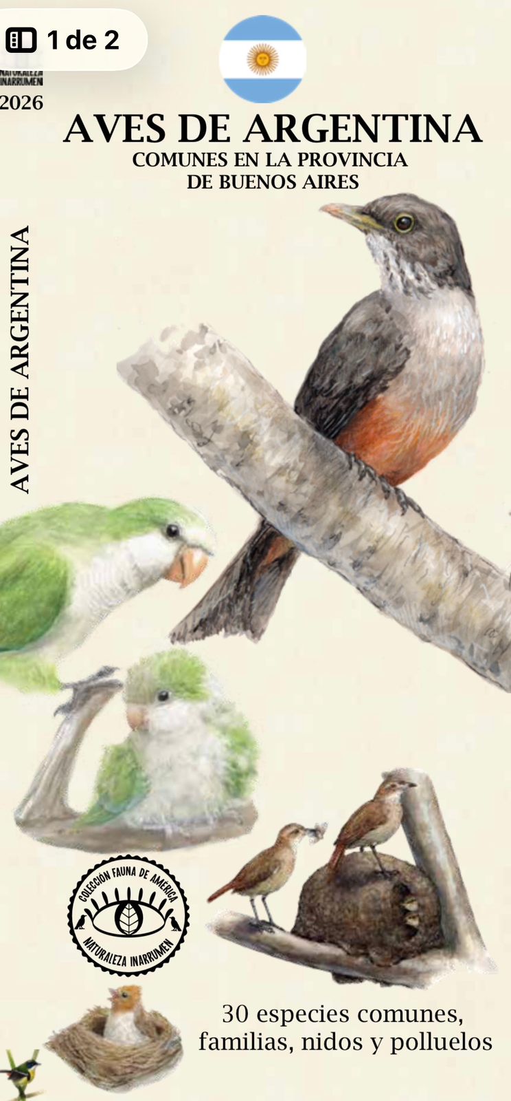 Aves de Argentina, comunes en la provincia Buenos Aires