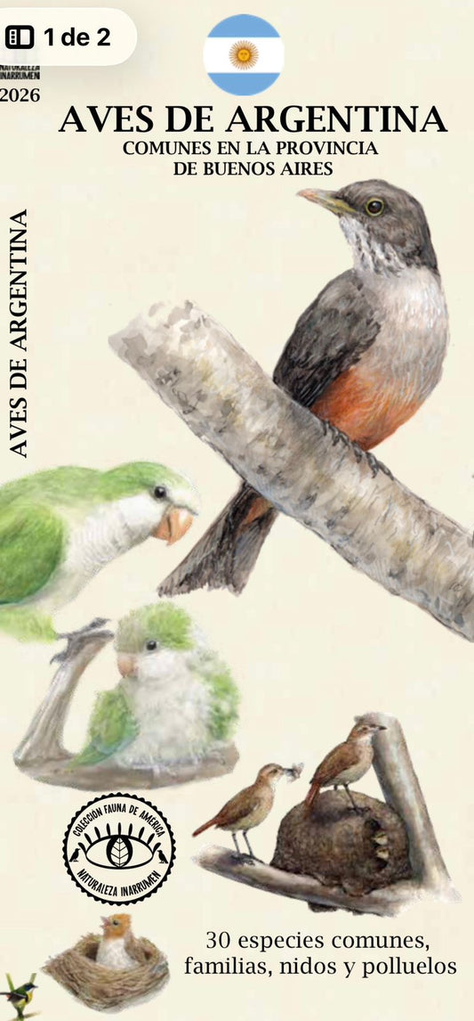 Aves de Argentina, comunes en la provincia Buenos Aires