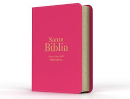 Santa biblia reina valera 1960 letra grande (rosada)