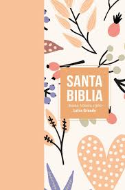 Santa biblia reina valera 1960 letra grande