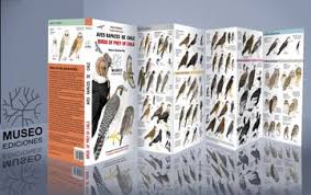 Guía plegable de Aves Rapaces de Chile / Birds of prey of Chile