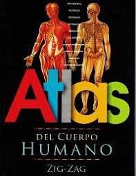 Atlas del cuerpo humano