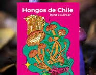 Hongos de Chile para colorear
