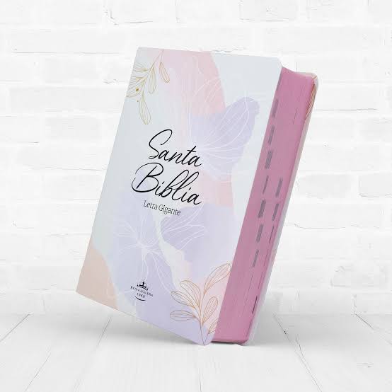 Santa biblia letra gigante RVR 1960
