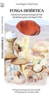 Guía plegable  Funga Desértica