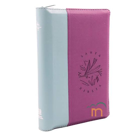 Biblia manual letra grande RVR60