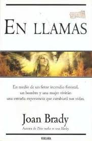 En llamas - Joan Brady