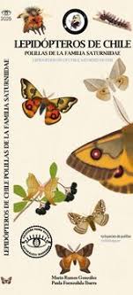 Guía plegable lepidópteros de Chile