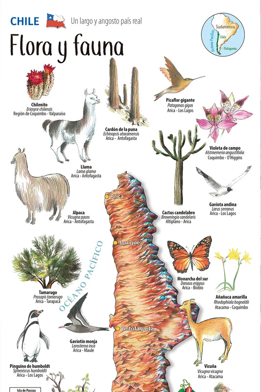 Mapa de chile Flora y Fauna