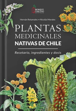PLANTAS MEDICINALES NATIVAS DE CHILE. RECETARIO, INGREDIENTES Y DOSIS