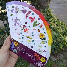 Pantonera Flora Silvestre Chile sur