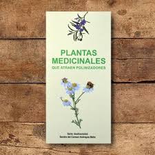 Plantas medicinales que atraen polinizadores