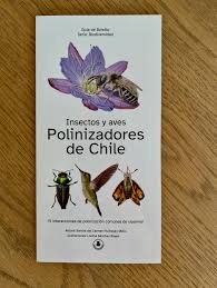 Guía plegable insectos y aves polinizadores de Chile