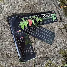 Pantonera guía de identificación del género Nothofagus en Chile Robles del sur del mundo